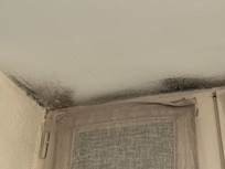 Moisissures salle de bain