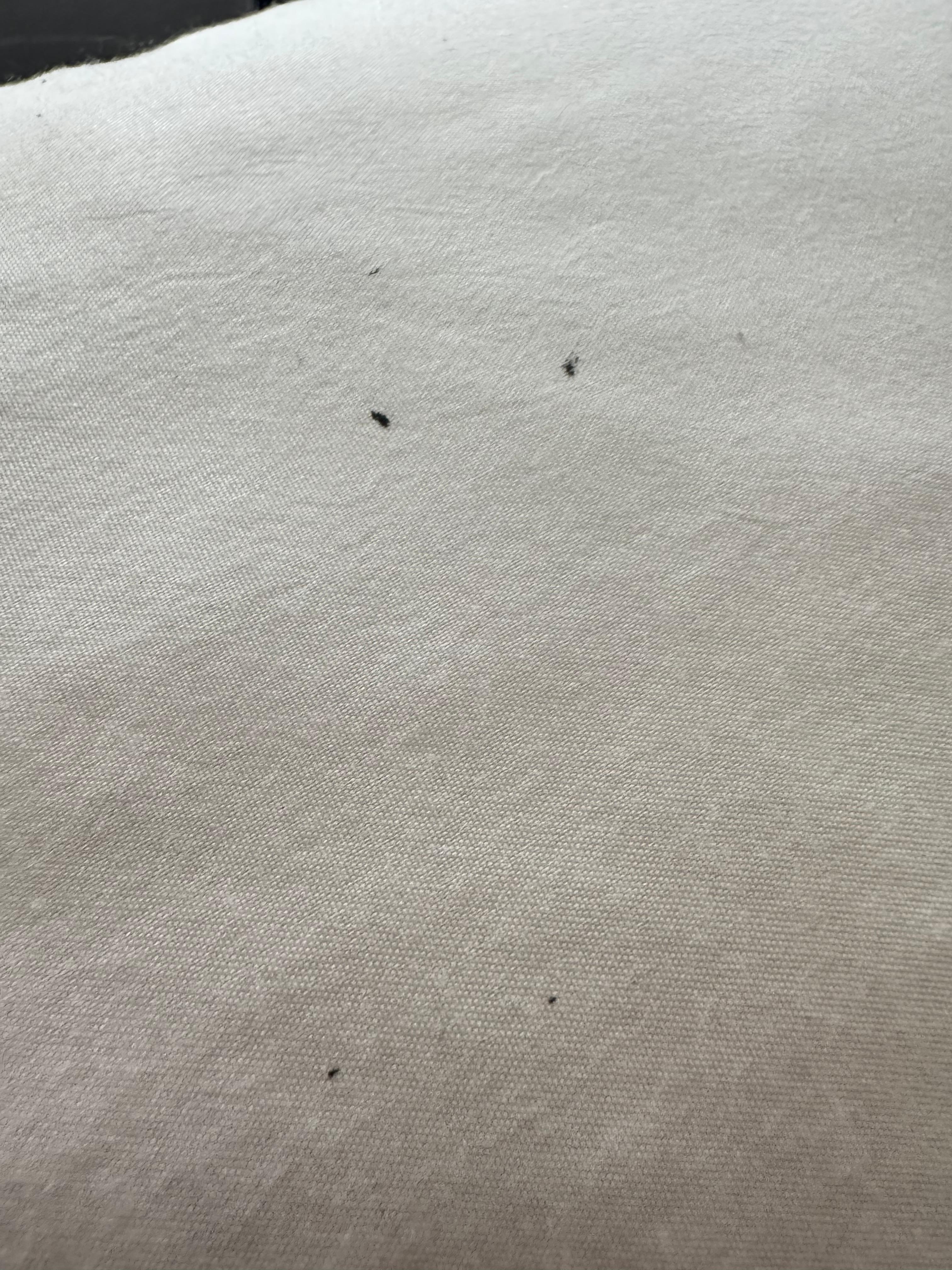Stains on pillow case