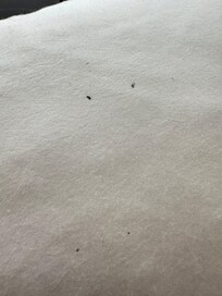 Stains on pillow case