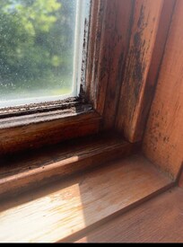 Thick mold around windows