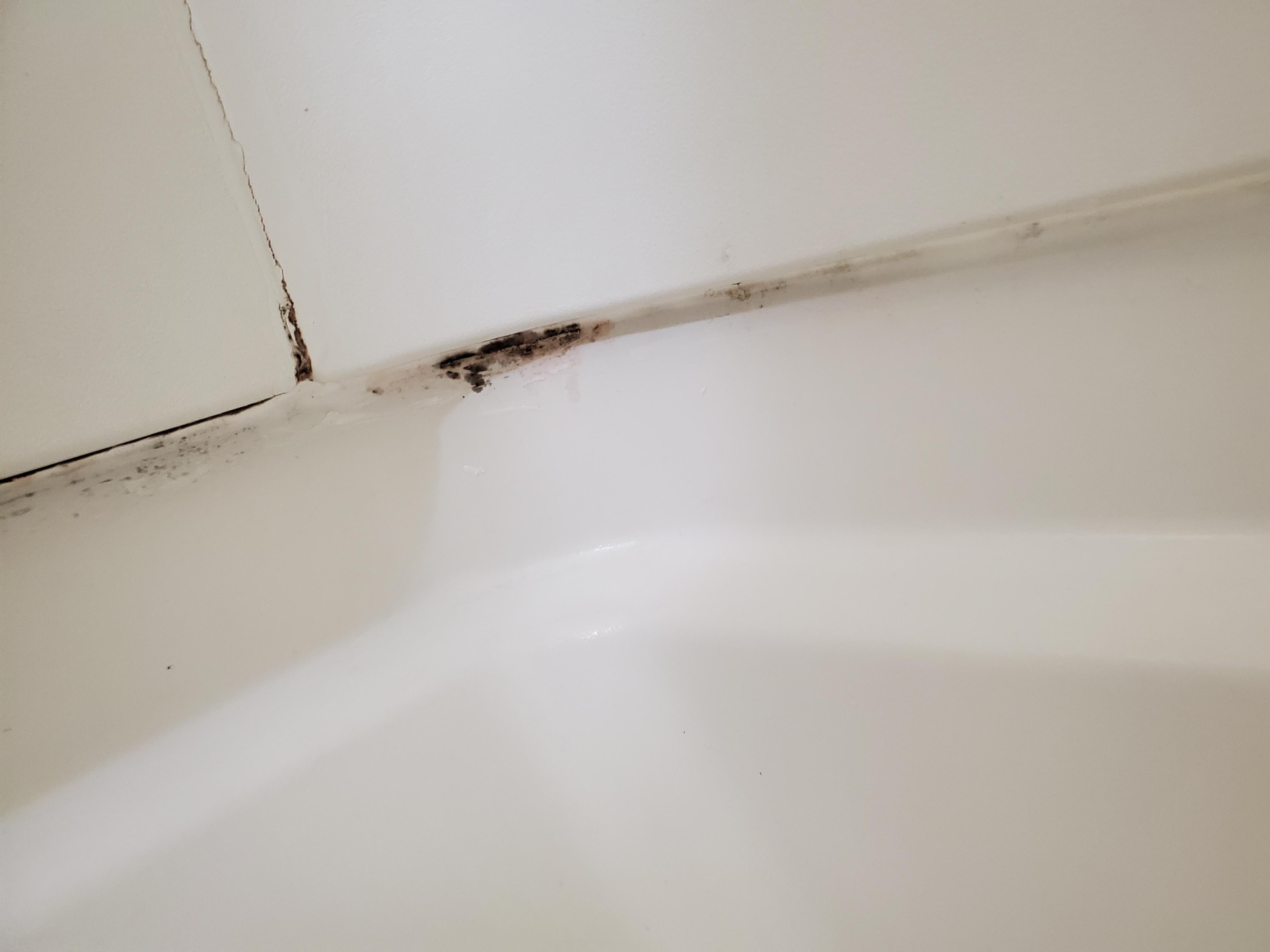 moldy gross shower - far end