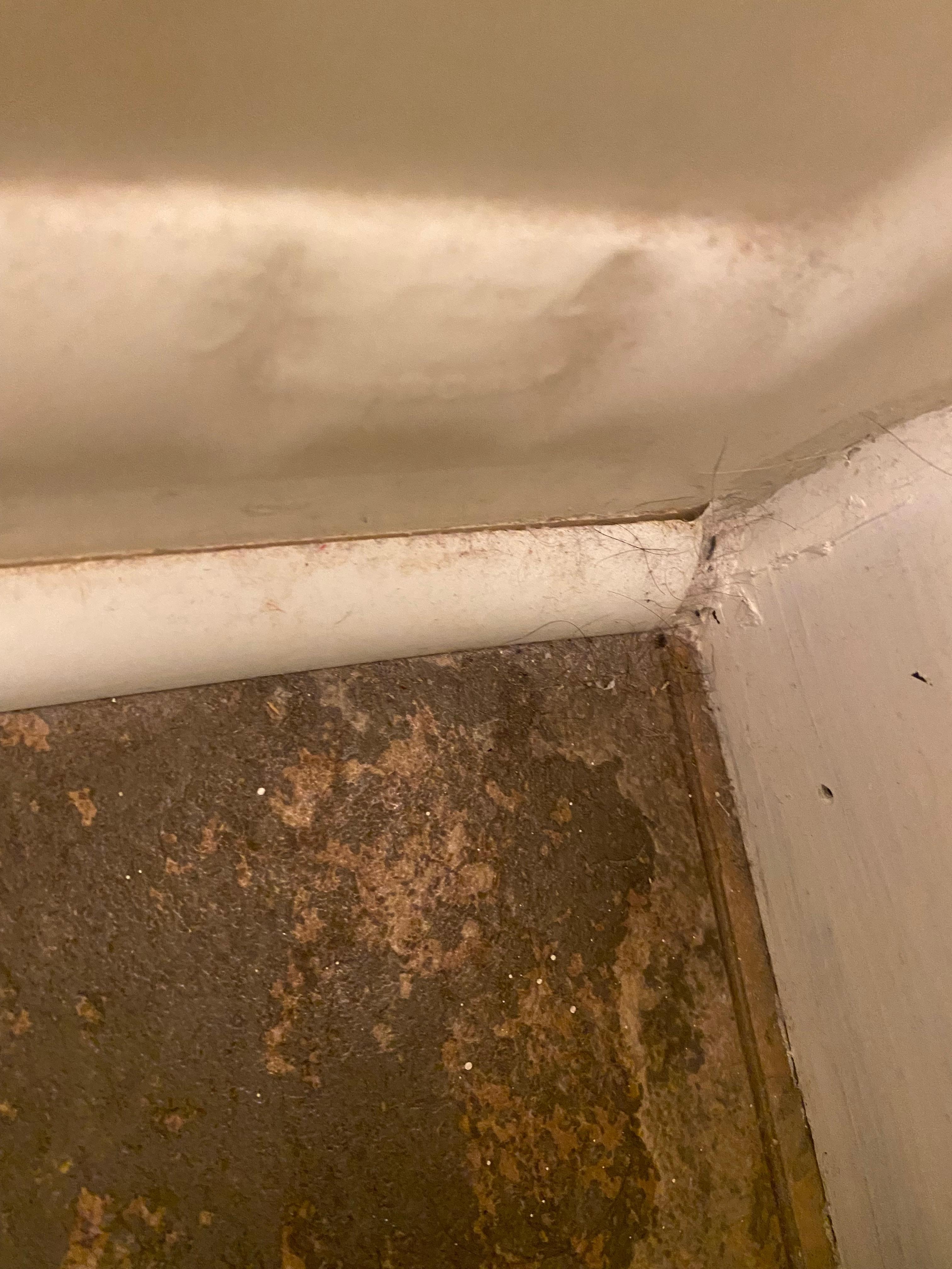 Dust and hair in corners of bathroom, gross!