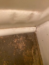 Dust and hair in corners of bathroom, gross!