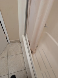 Mold in shower.