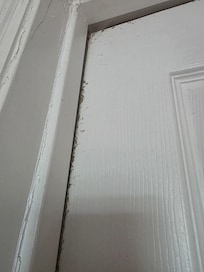 Clear dust/mold around the appliance room in the kitchen. Obviously not cleaned for quite some time.