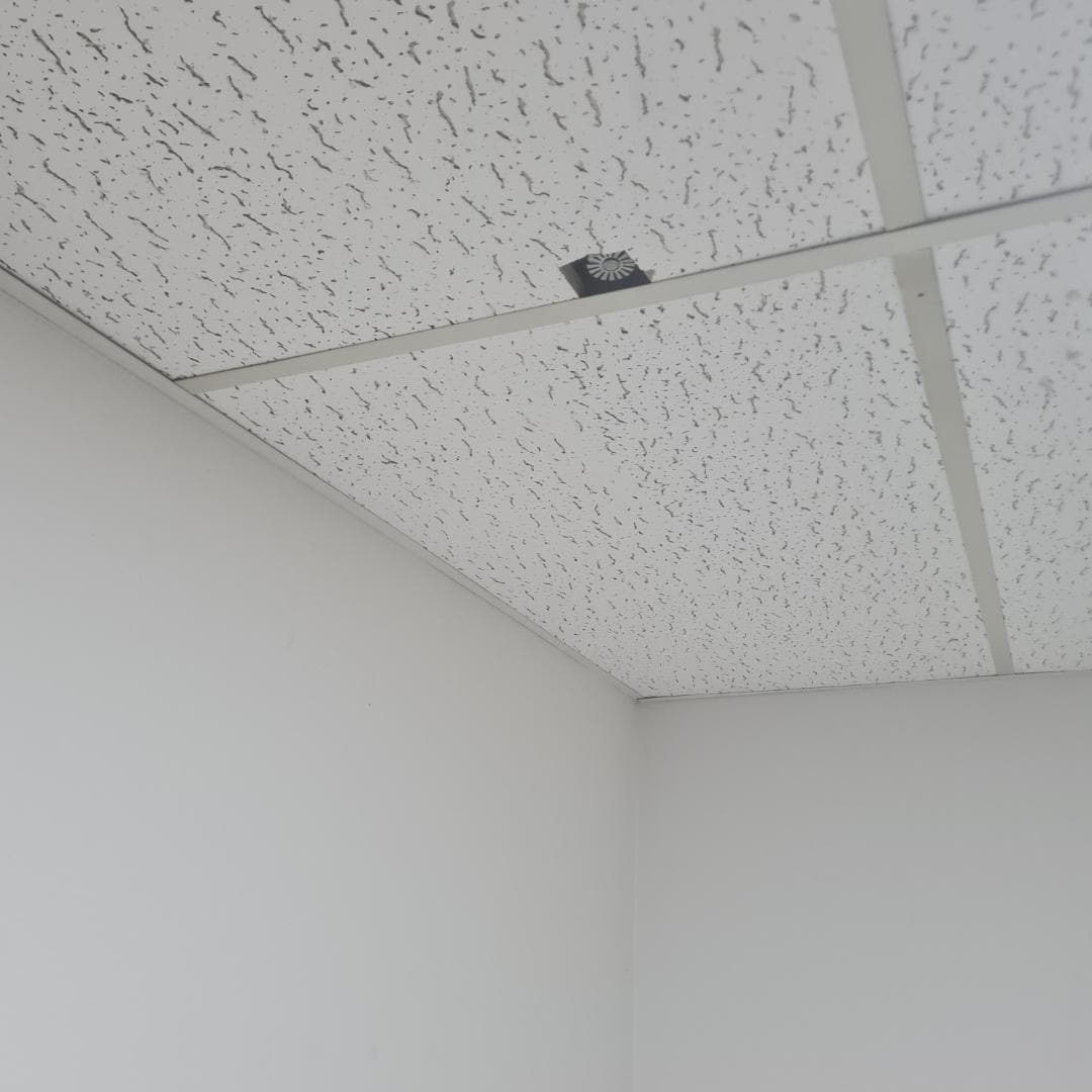 Sprinklers enfoncé dans la chambre