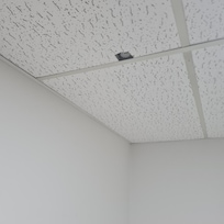 Sprinklers enfoncé dans la chambre
