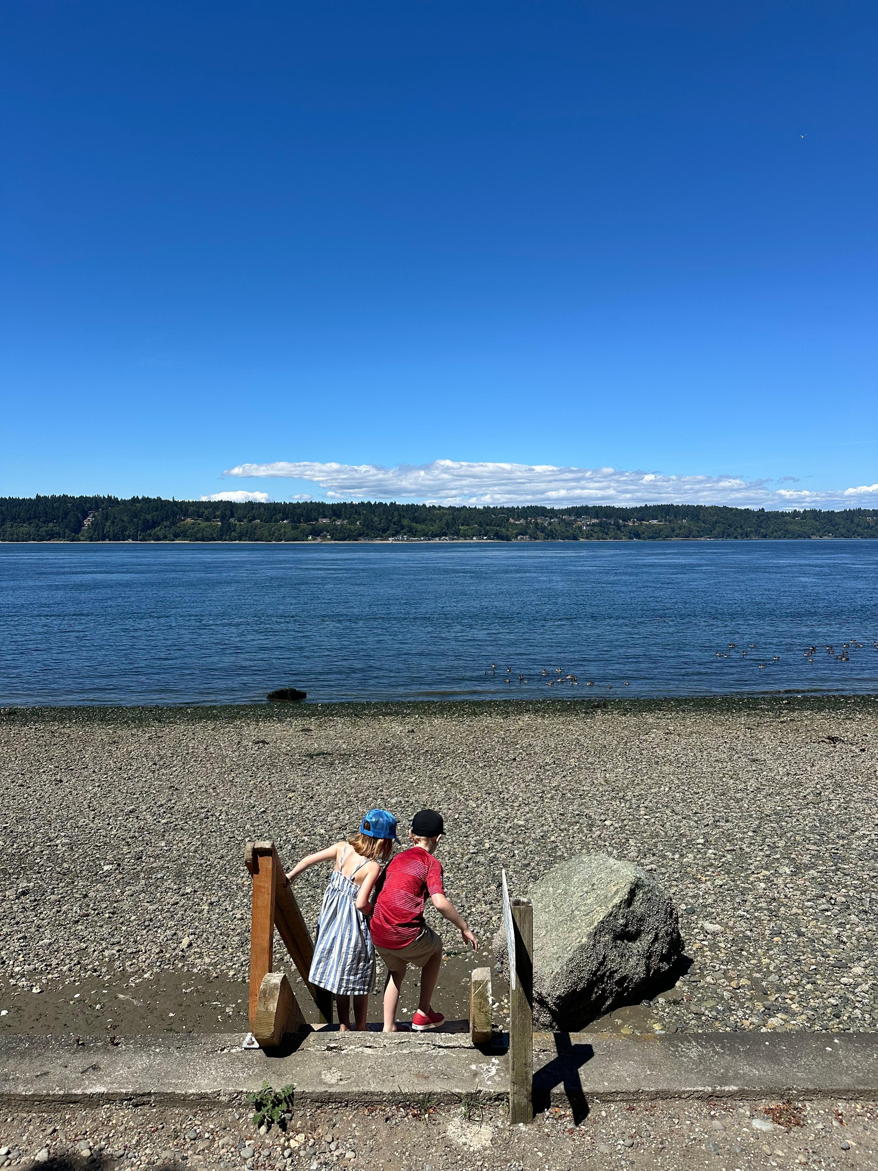 Low tide beach combing