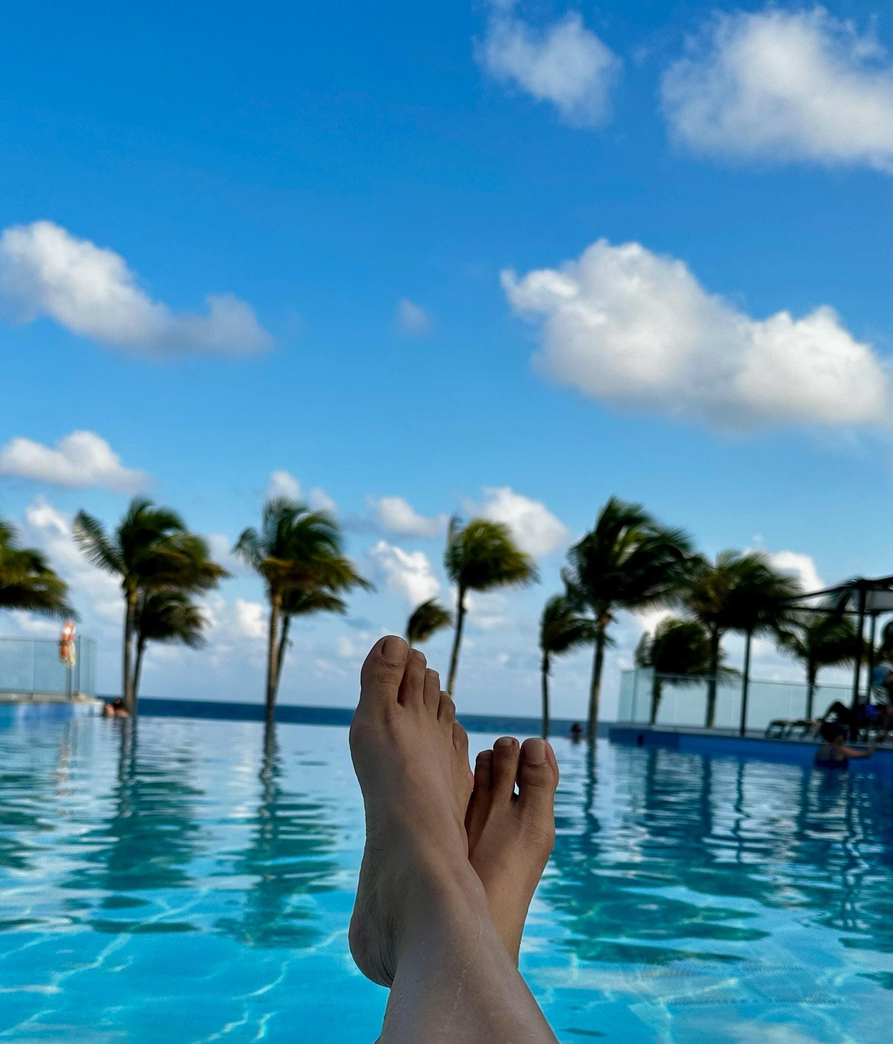 Beautiful view from the infinity pool. 