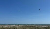 View from deck