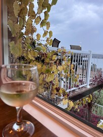 Looking towards the river