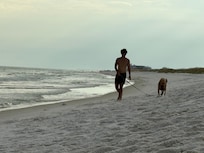 Dog beach is a short drive with plenty of space to play