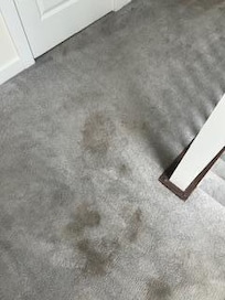 Dirty carpet upstairs