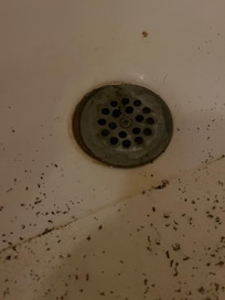 Rust flakes