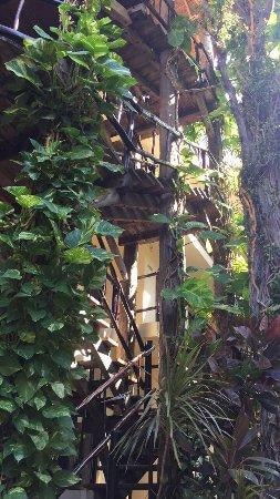 Esta combinacion de Naturaleza es impactante!!