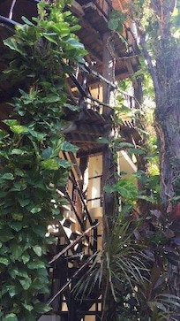 Esta combinacion de Naturaleza es impactante!!