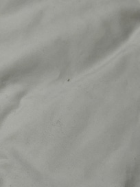 Fourmis dans le lit escomy