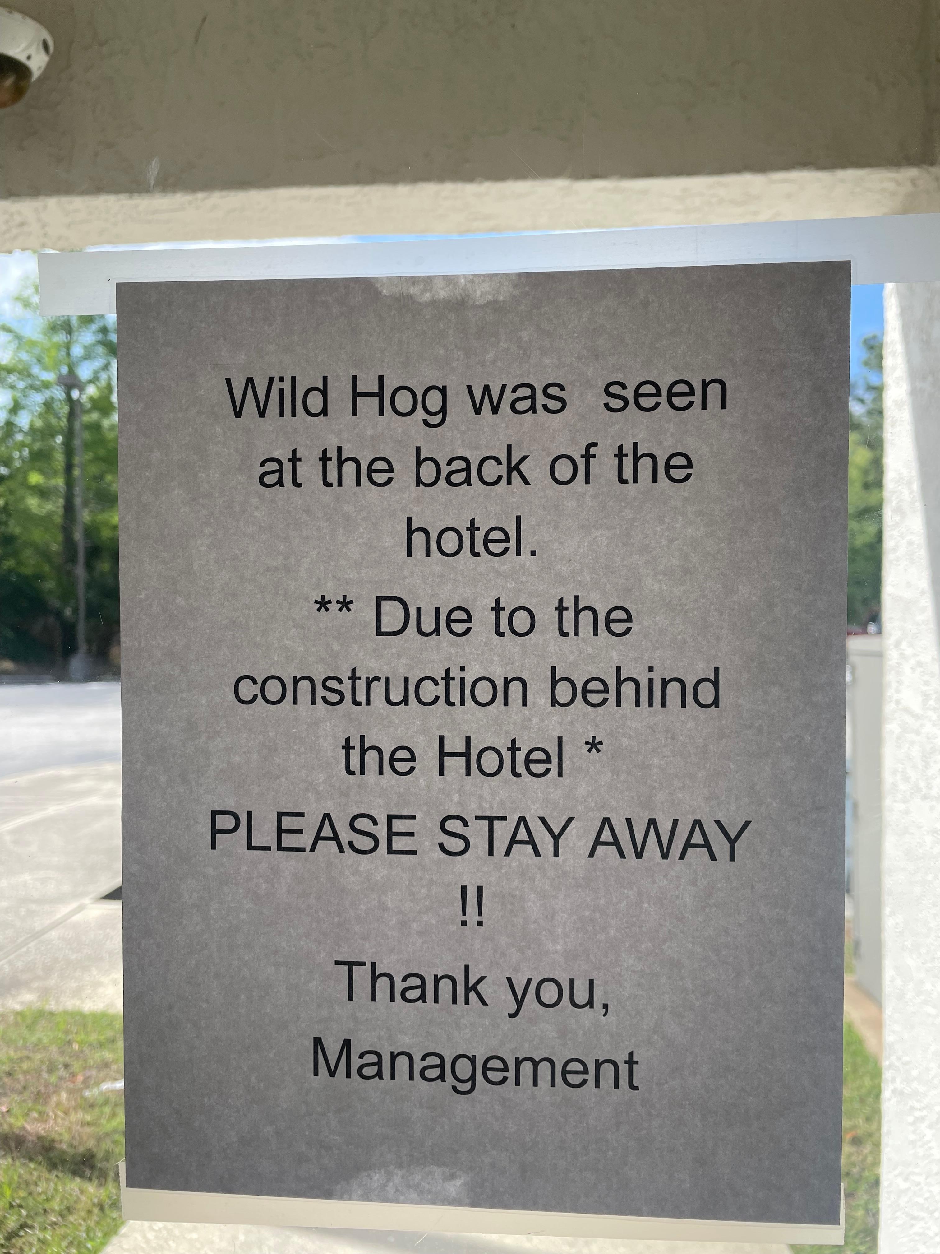 Why bother going to the Central Florida Zoo? 😂