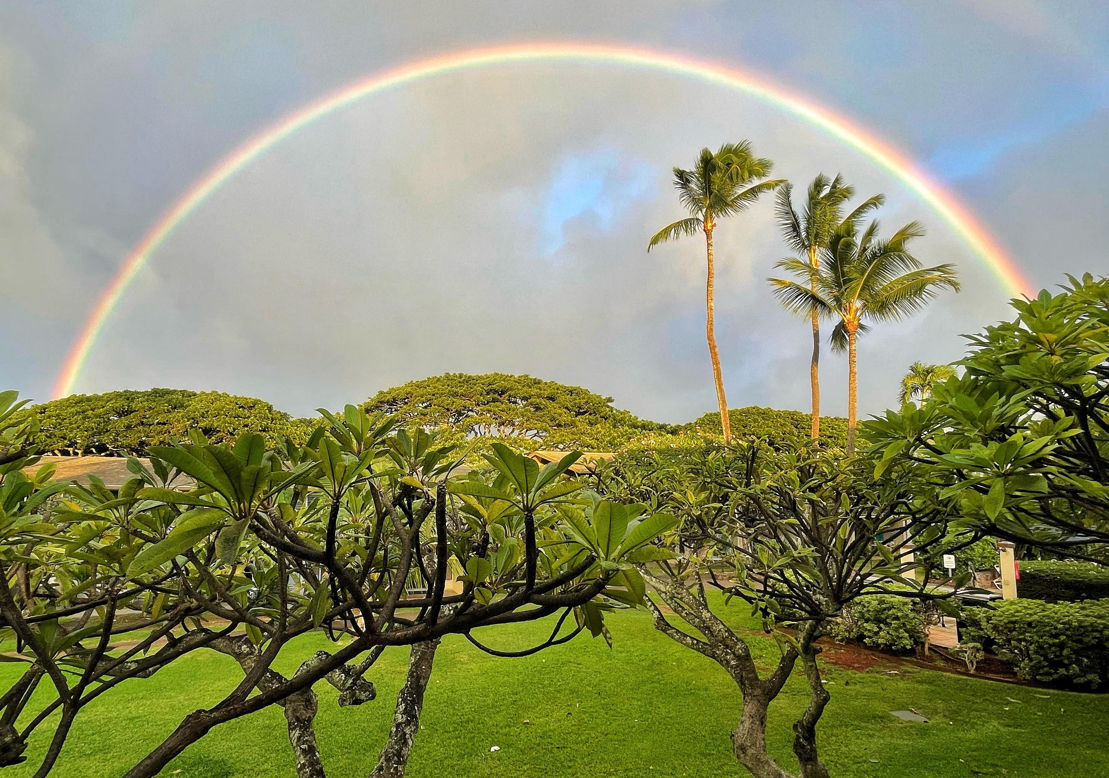 From our lanai!