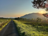 Evening walk from the cottage.