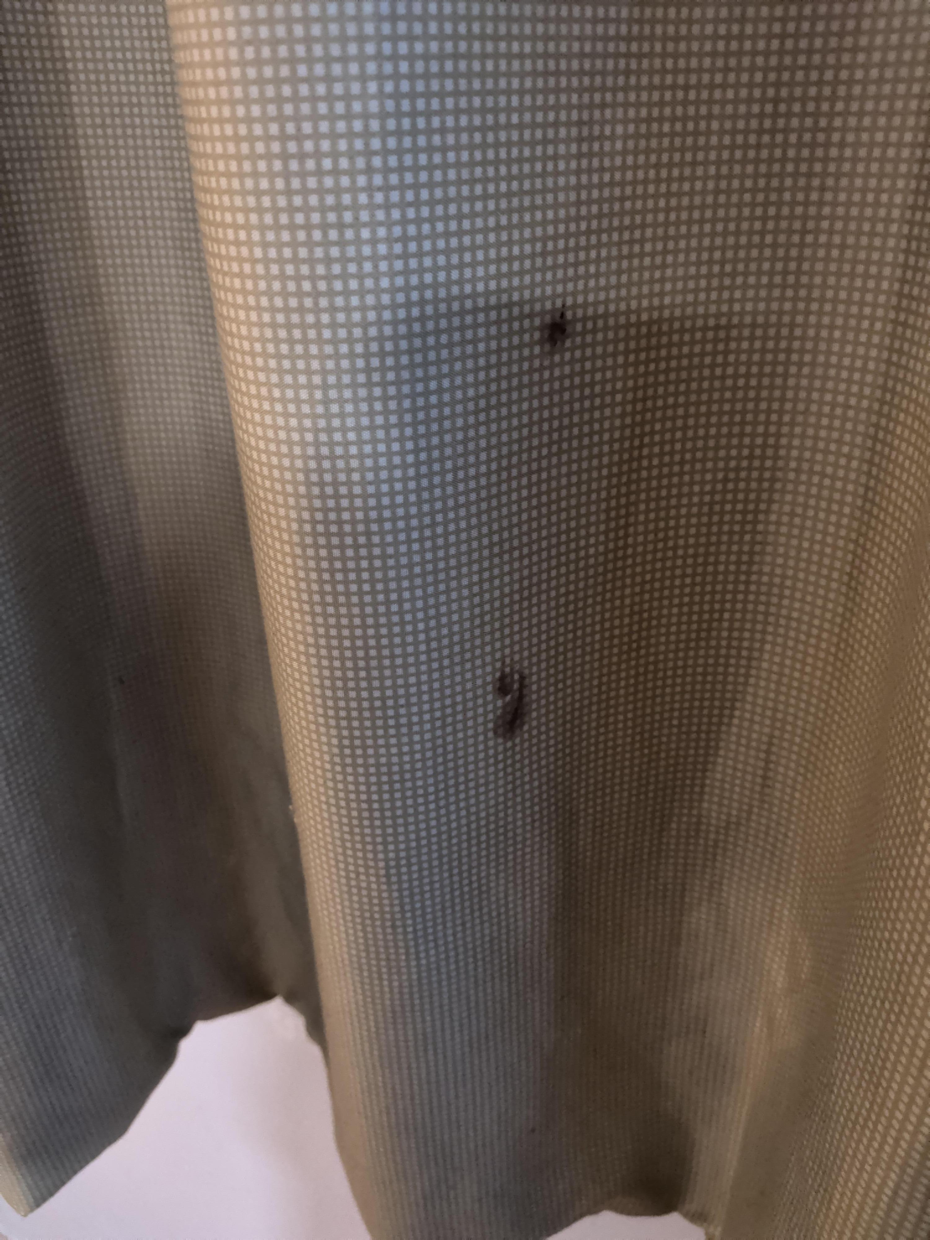 Appeared to be blood stain