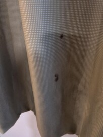 Appeared to be blood stain