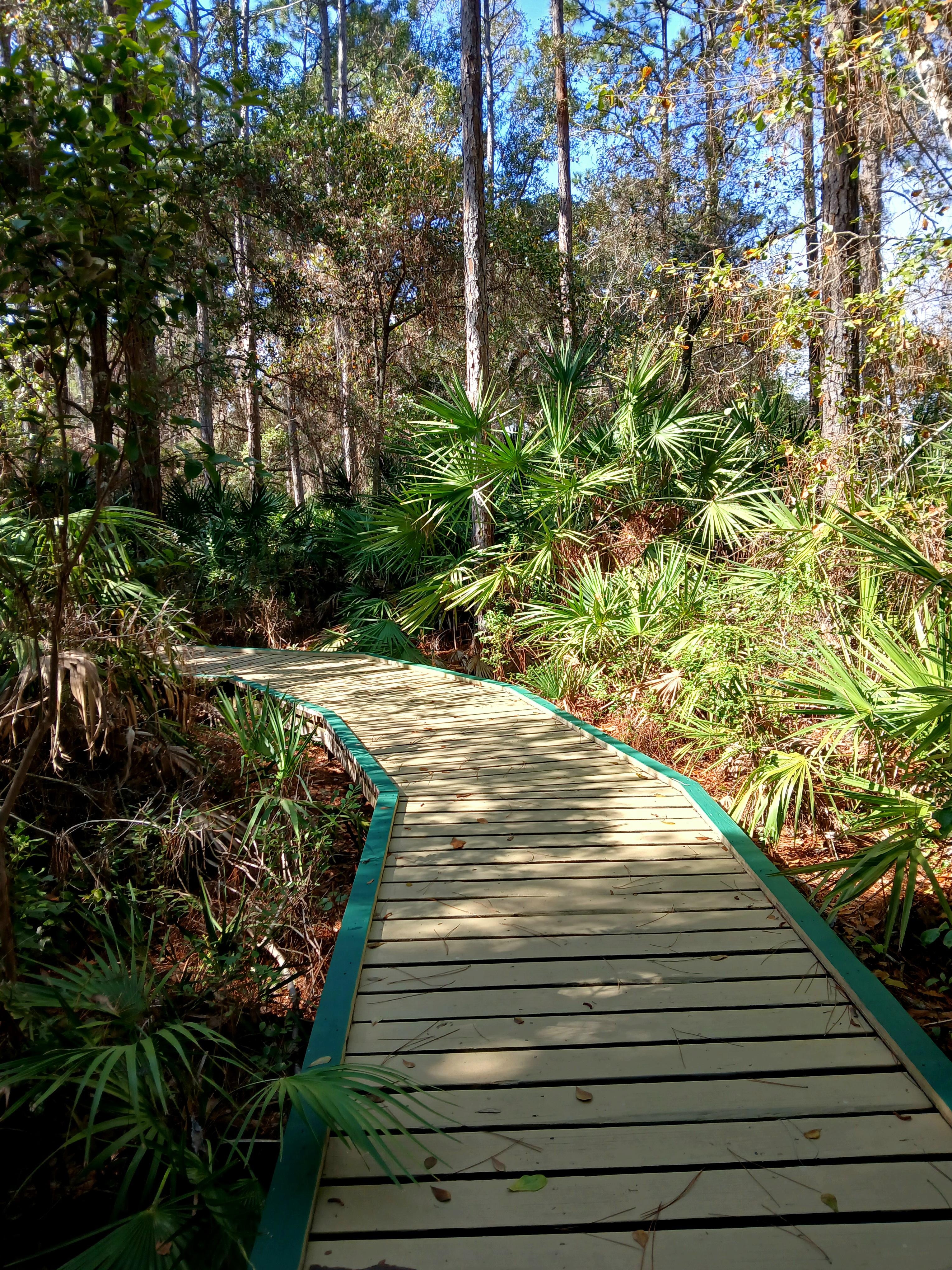 The Apalachicola Estuarine Research Reserve is a wonderful place to visit.