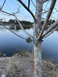 So many interesting things to see right at the pond.