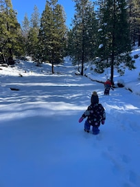 A hill in nearby Pinecrest we found for sledding!