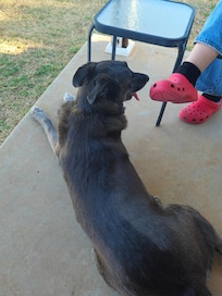 Enjoyed sitting in backyard on patio