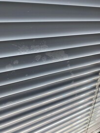 Dirty blinds and also missing blinds in the upstairs bathroom which gave no privacy for showering or using restroom