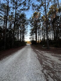 Off a beaten path away from highways and neighborhoods. 🥰