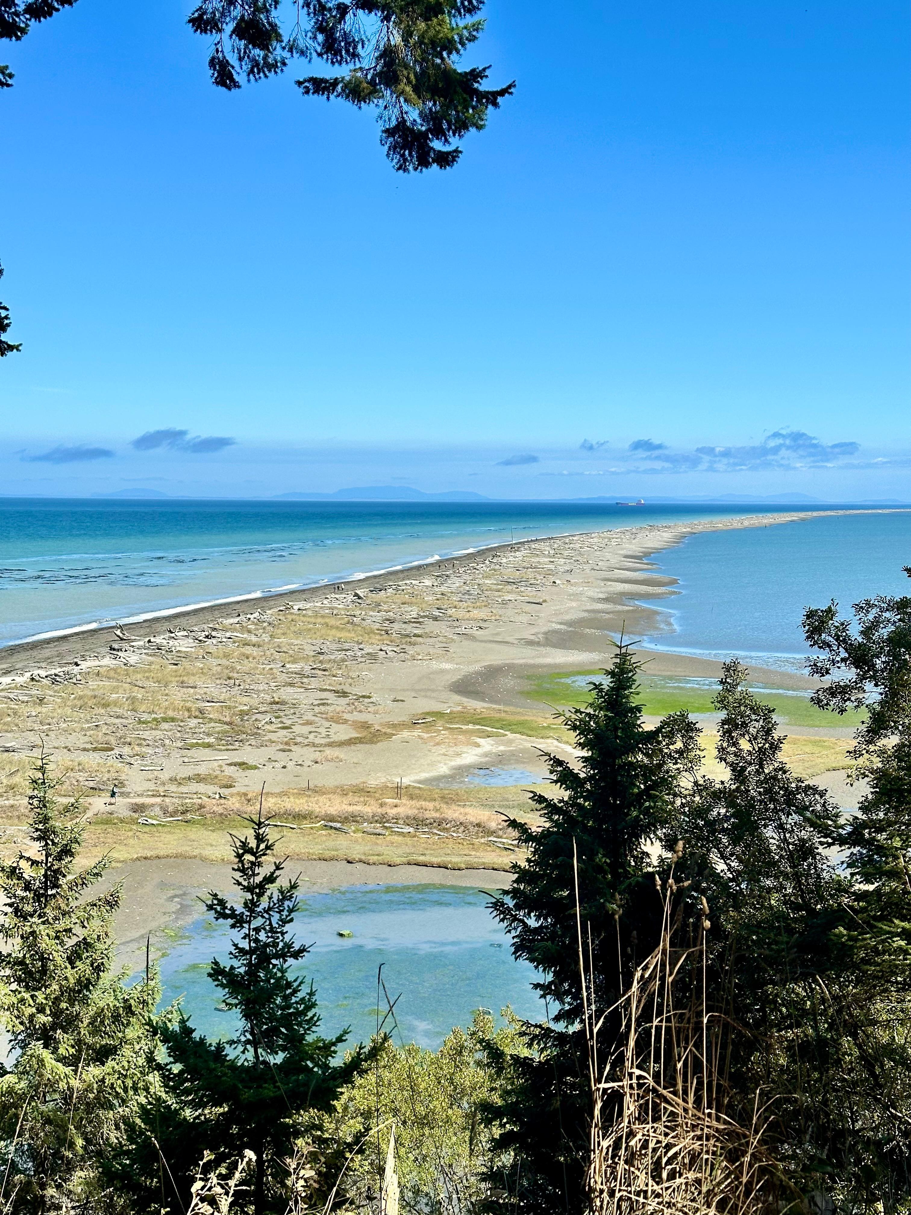 The Dungeness Spit