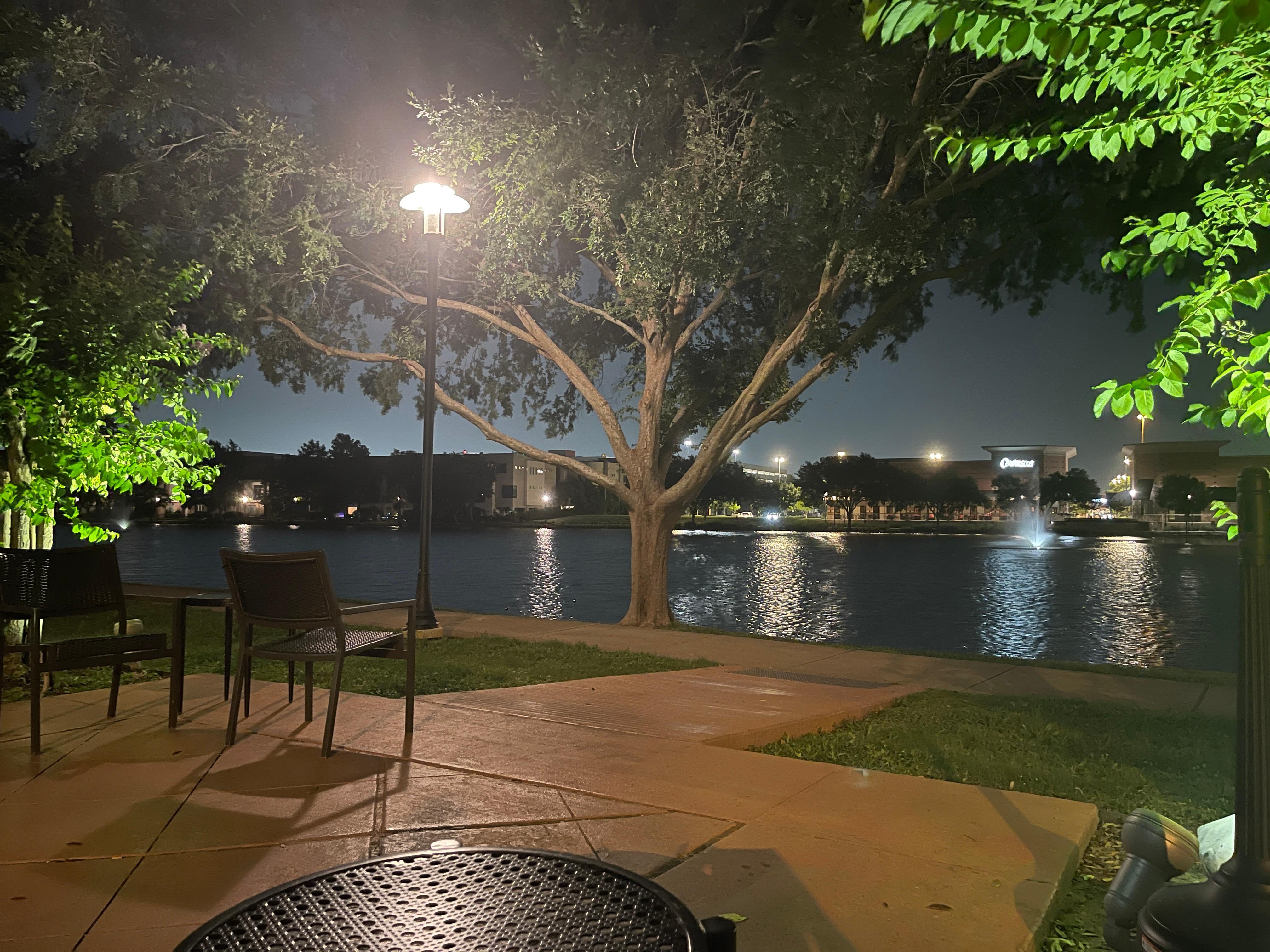 View of the lake from the patio.