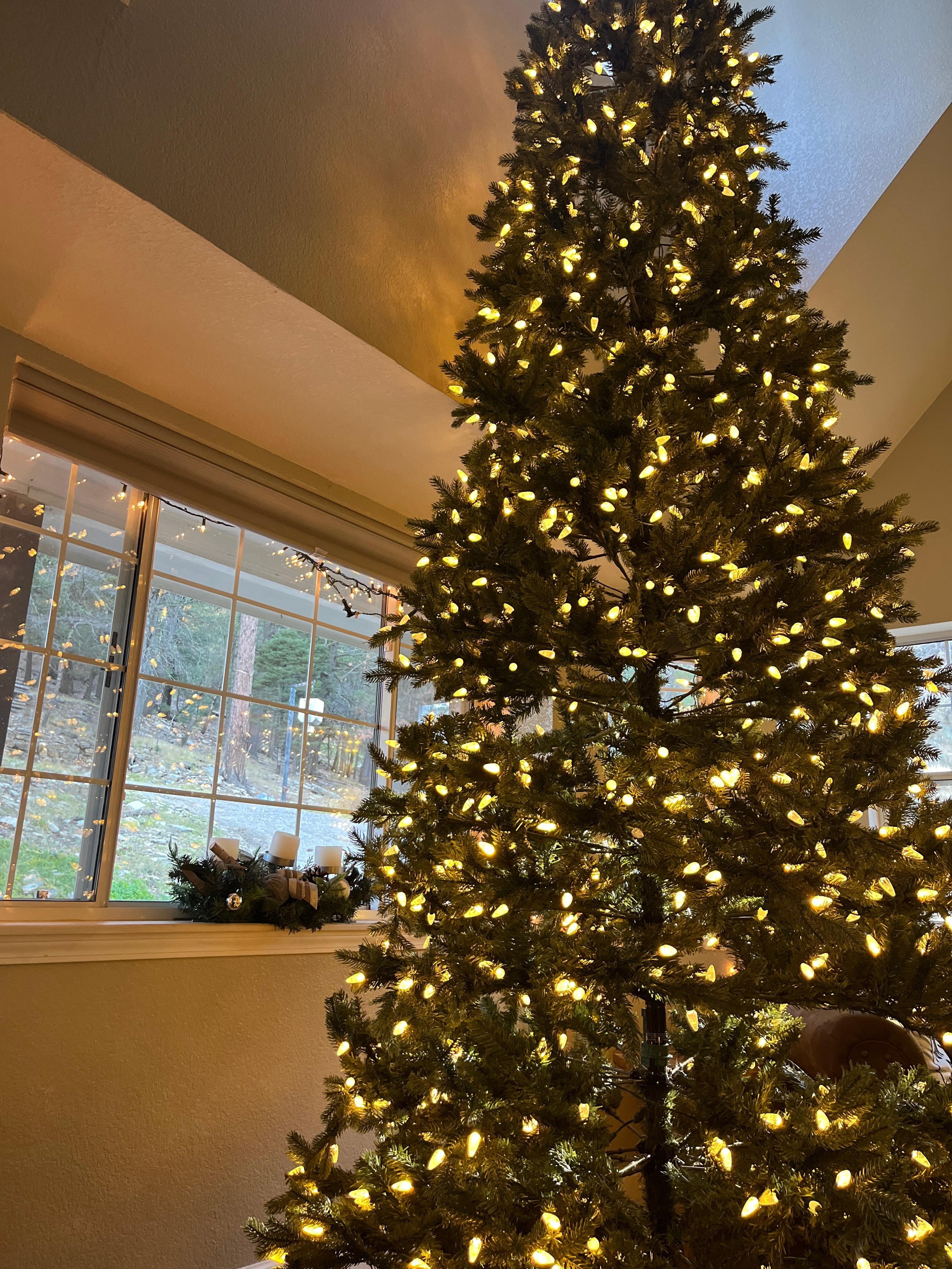 Beautiful 20 foot Christmas tree! 