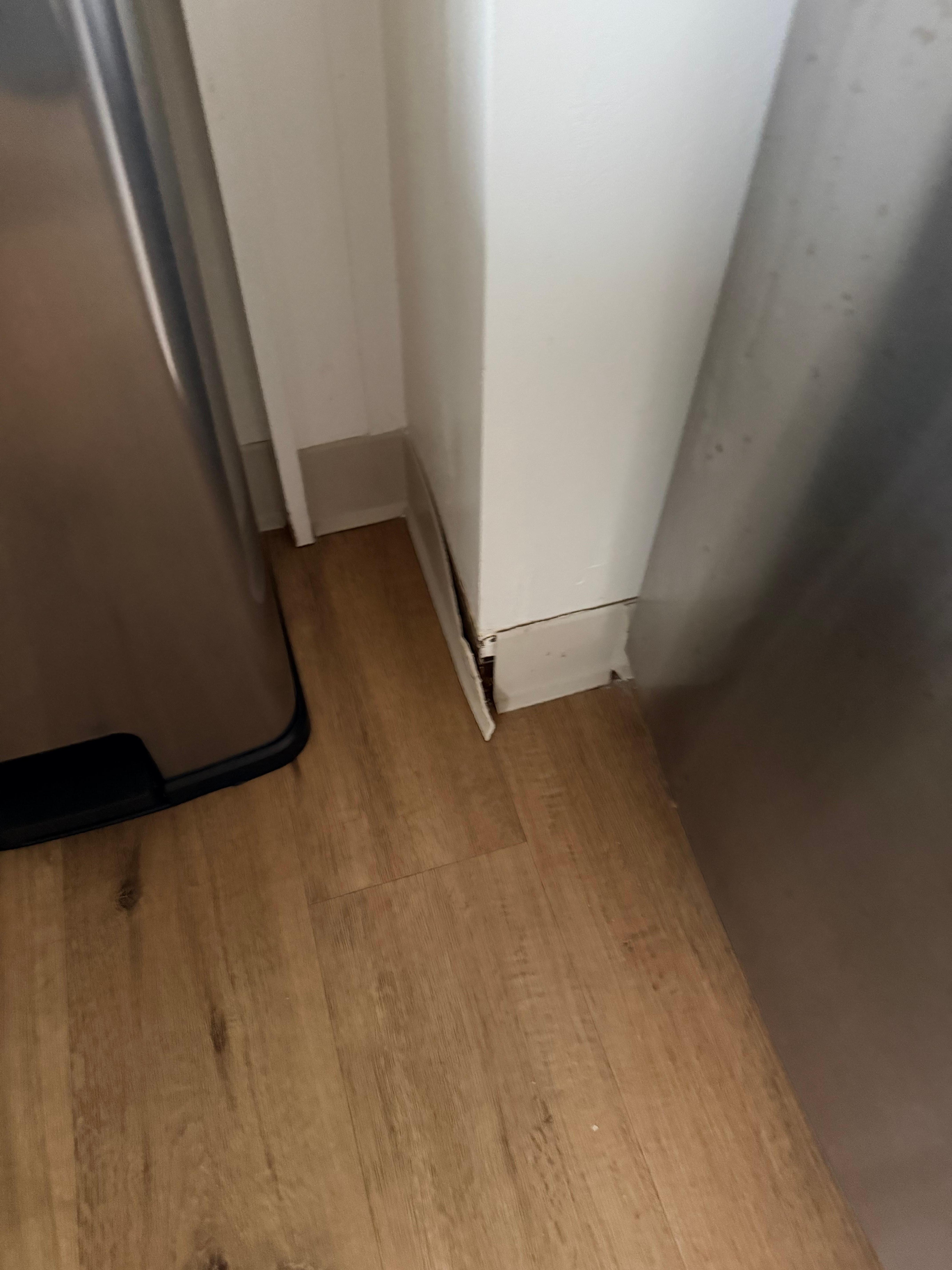 Trim broke and falling off
