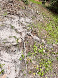 Terrible walking path to the water