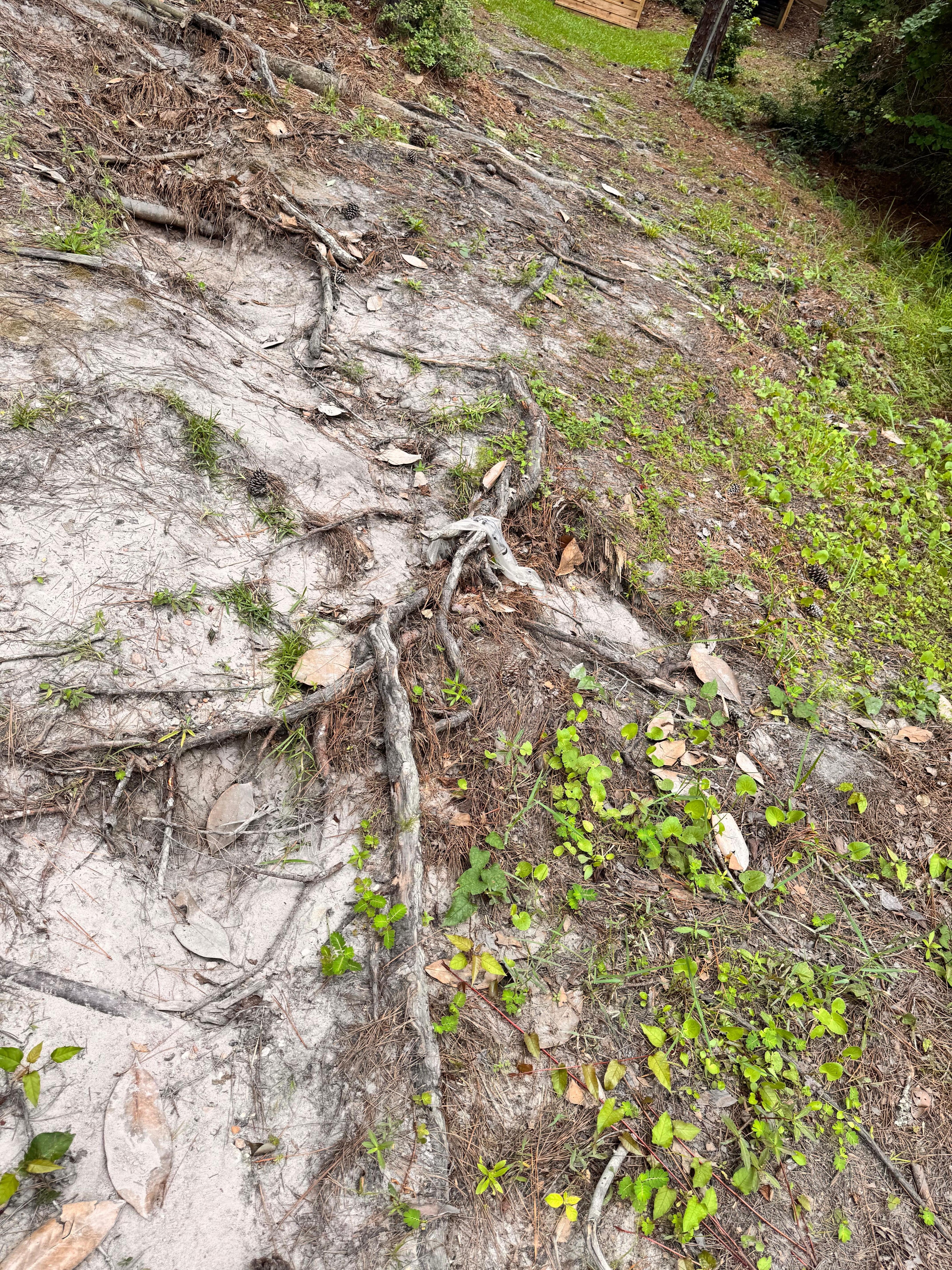 Terrible walking path to the water