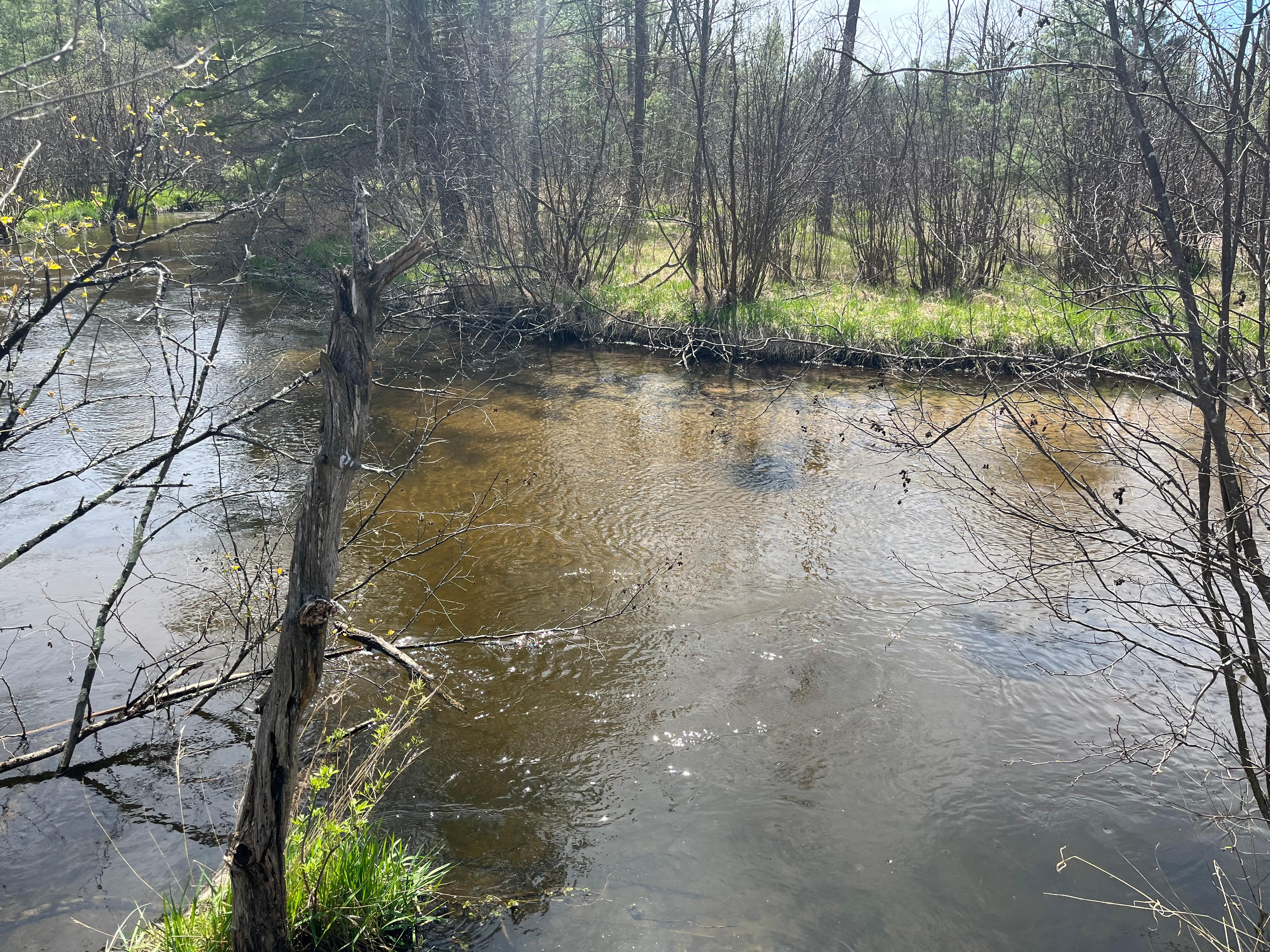 River view