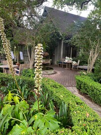 Love the manicured landscape