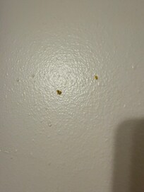 Boogers on the wall