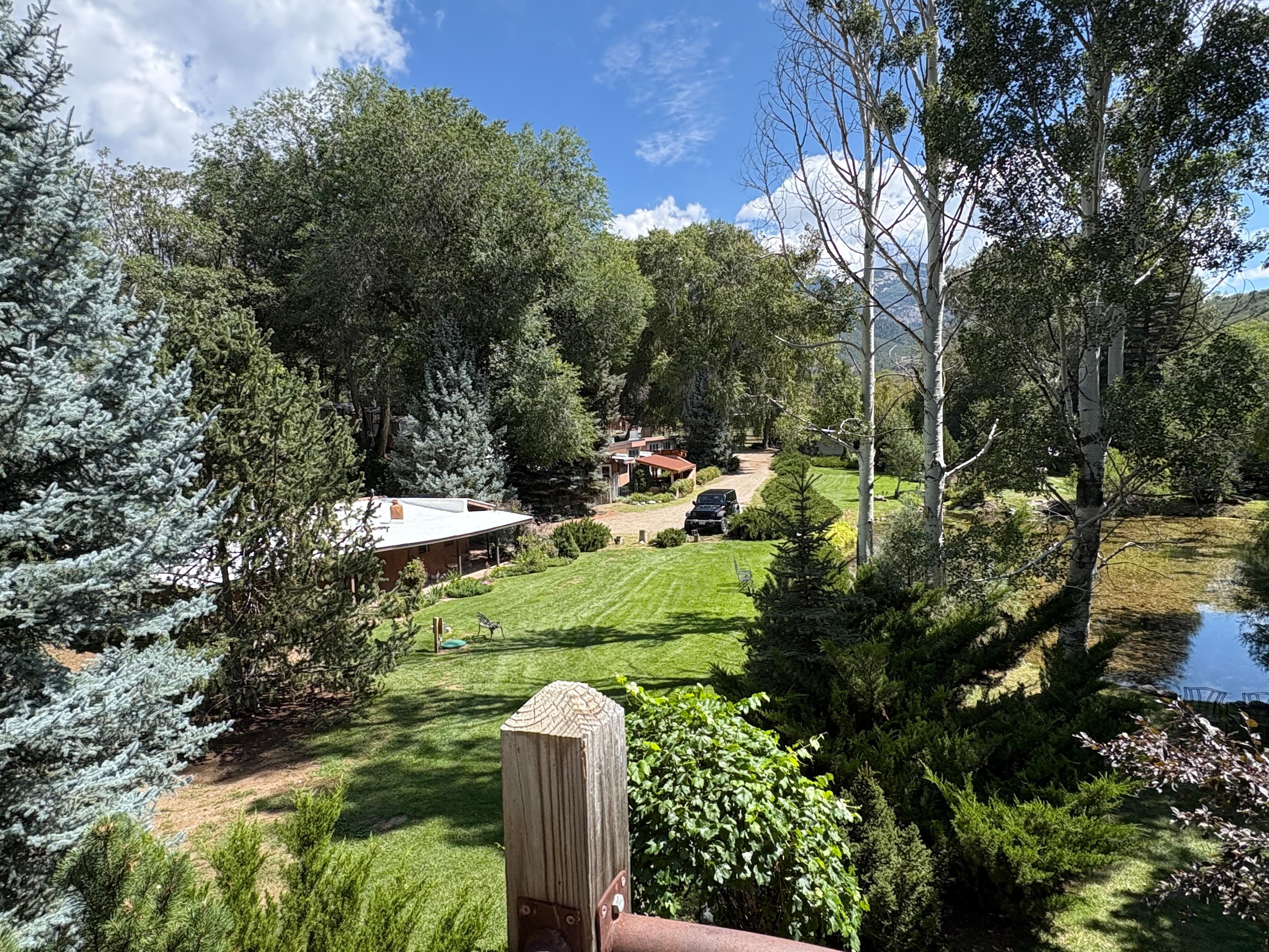 View from balcony of tree house.