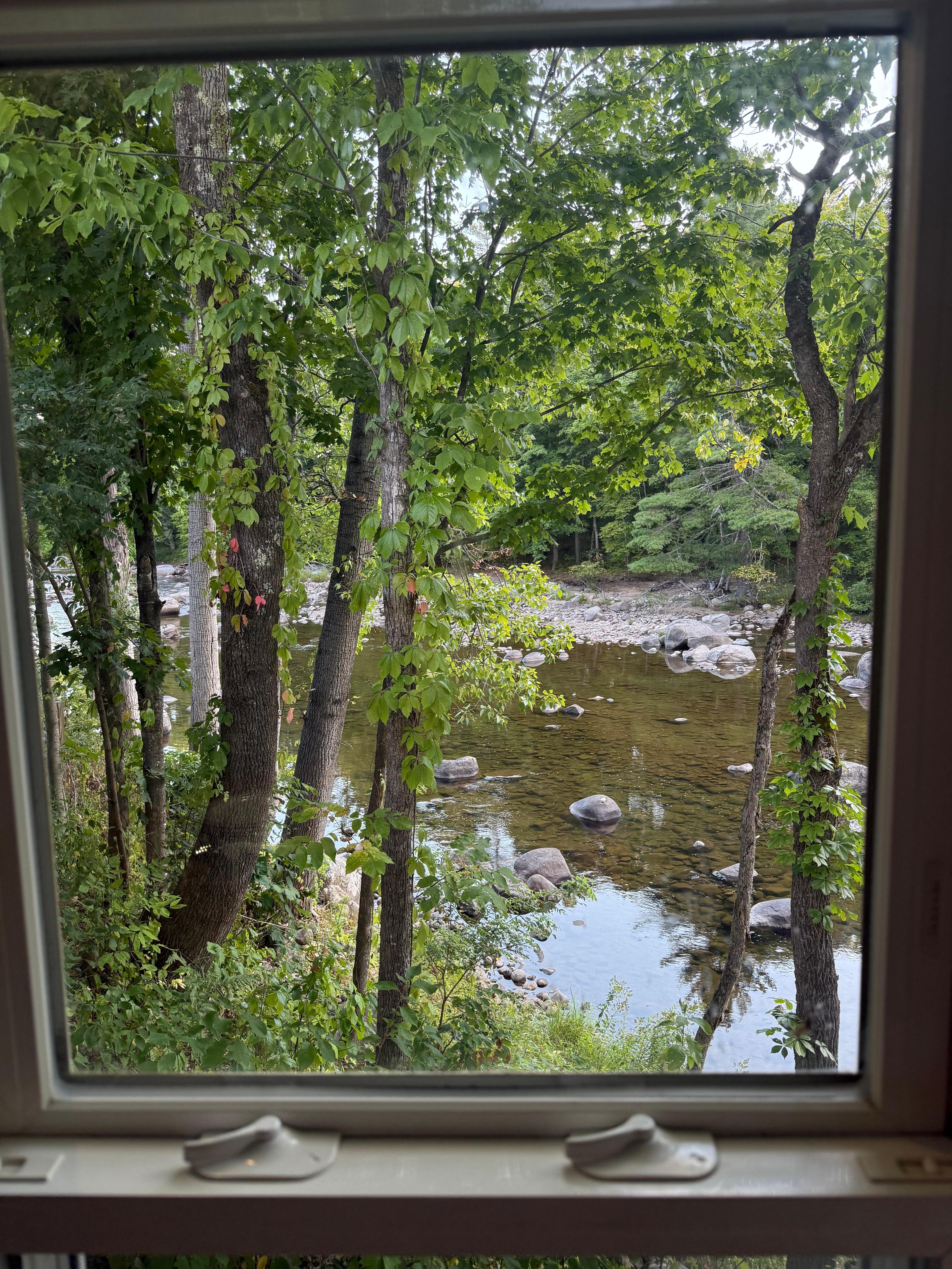 Our view from the dining room while eating.