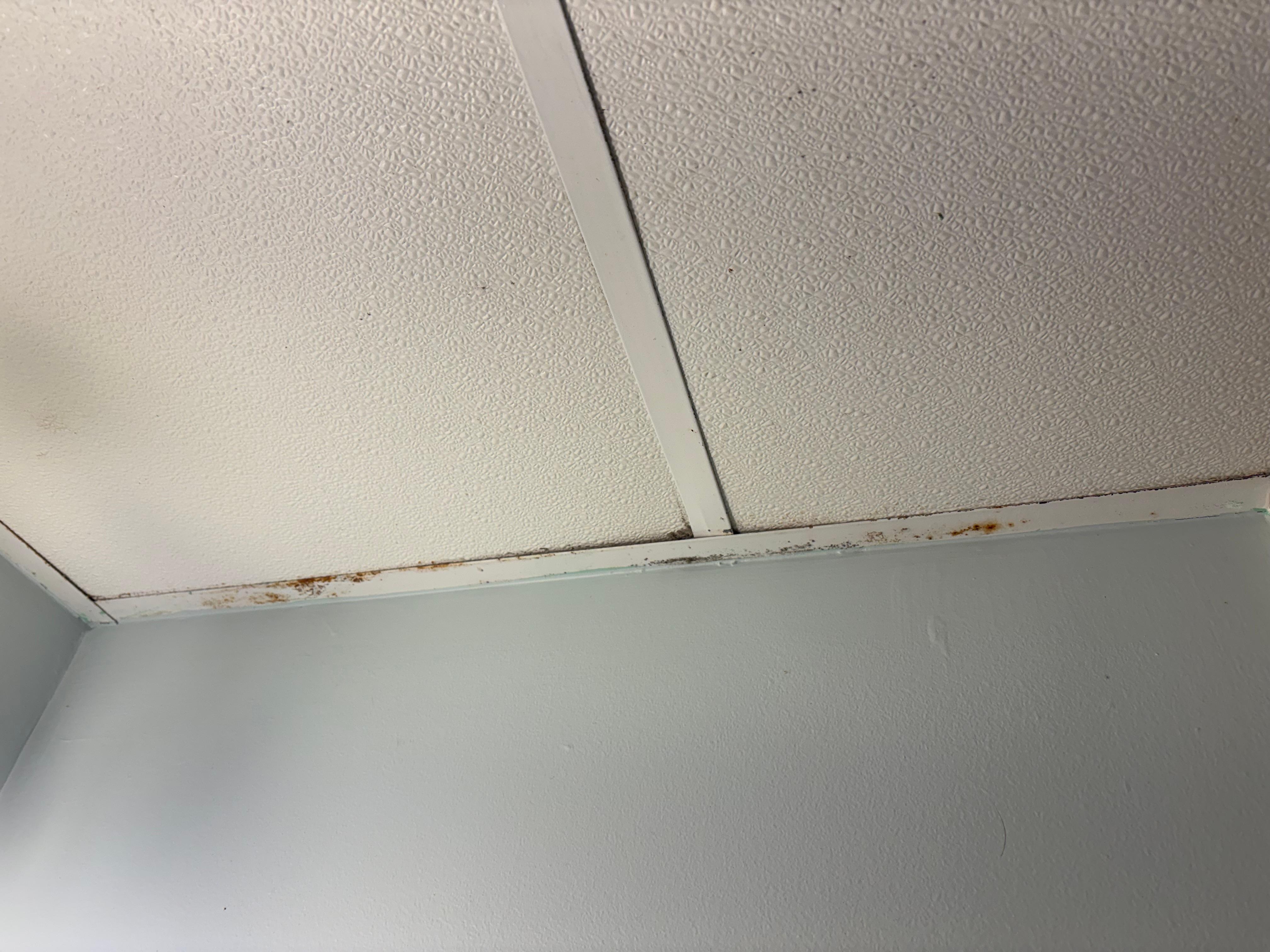 this is the ceiling in the shower. It was  rusted and flaking into the shower.