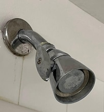 Disgusting, not cleaned shower head