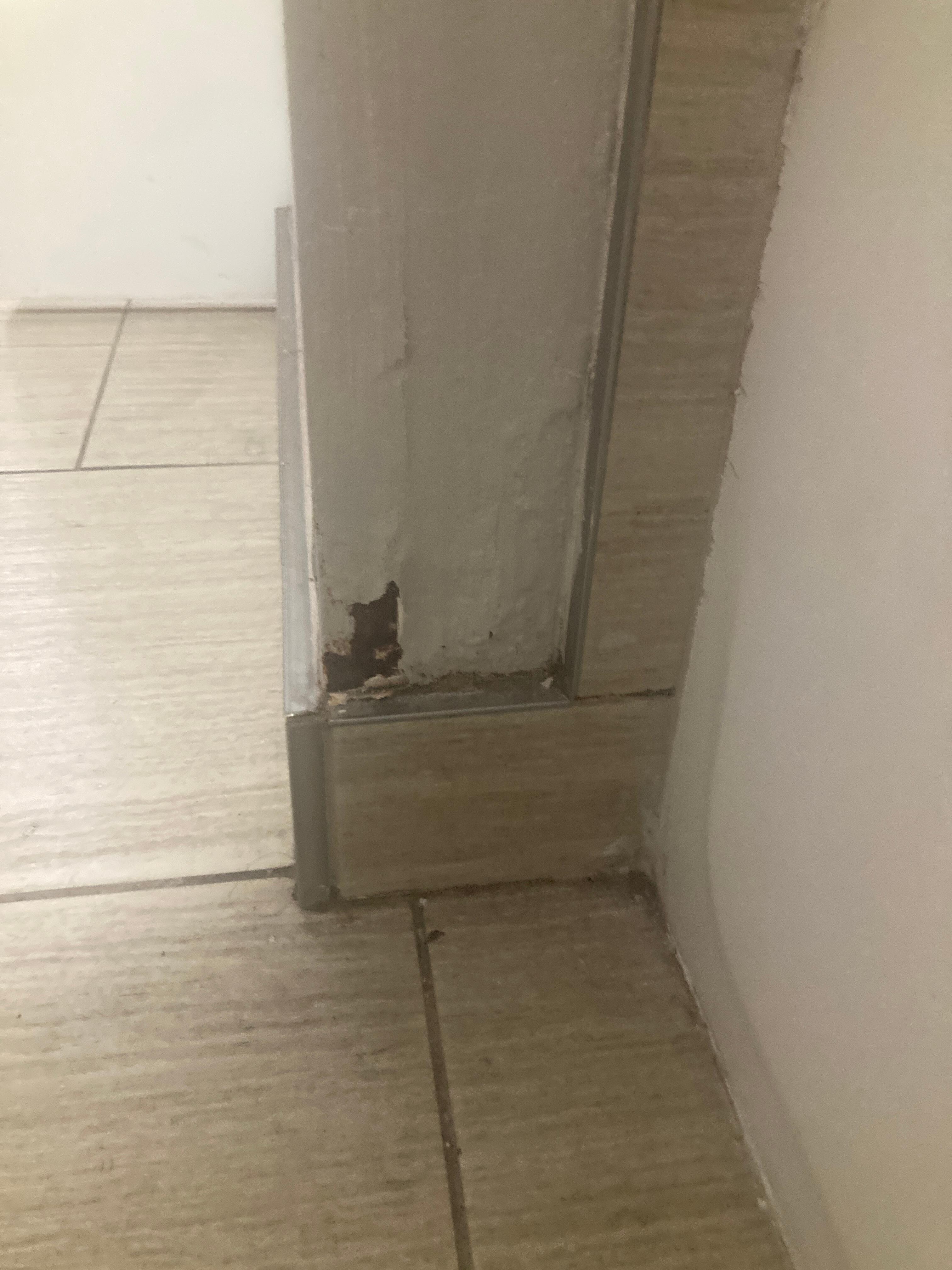 Needs bathroom repair 