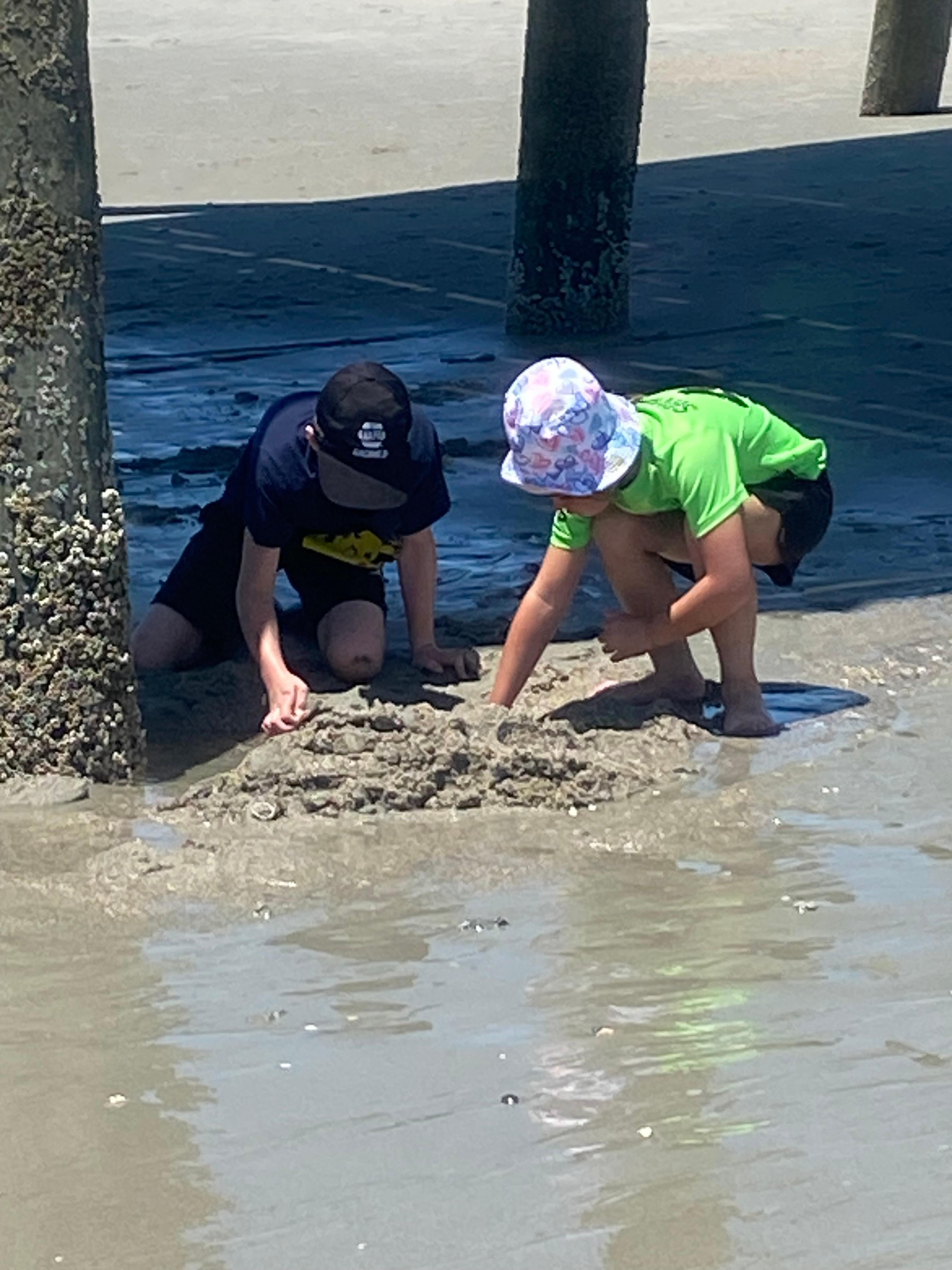 Went to the state park and dug for shark teeth 