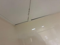 Moldy spot 1