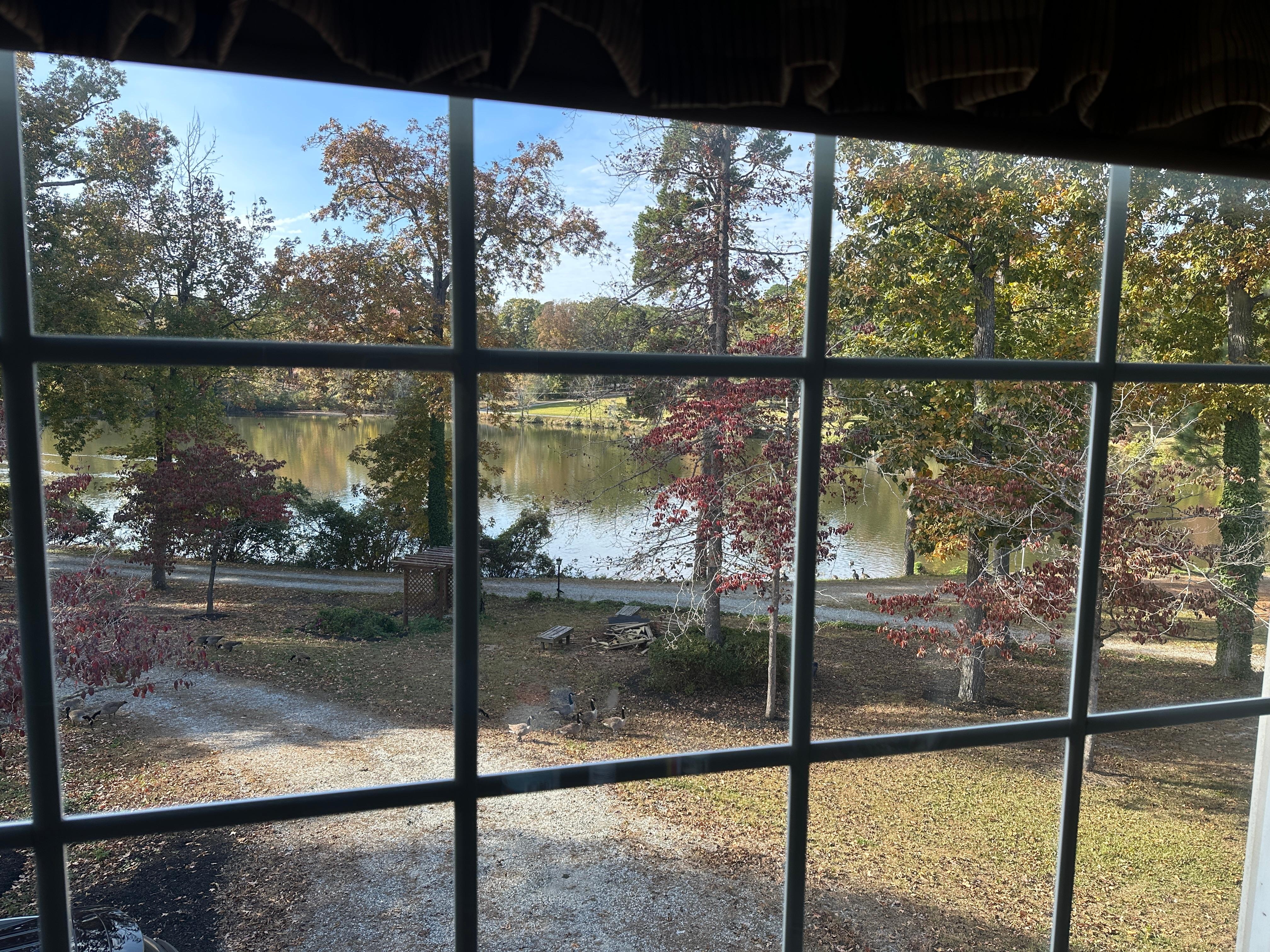 Beautiful lake view in the fall!