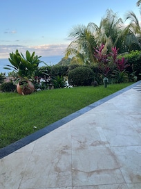 Our private back patio view